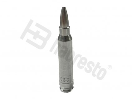 Školní náboj .223Rem