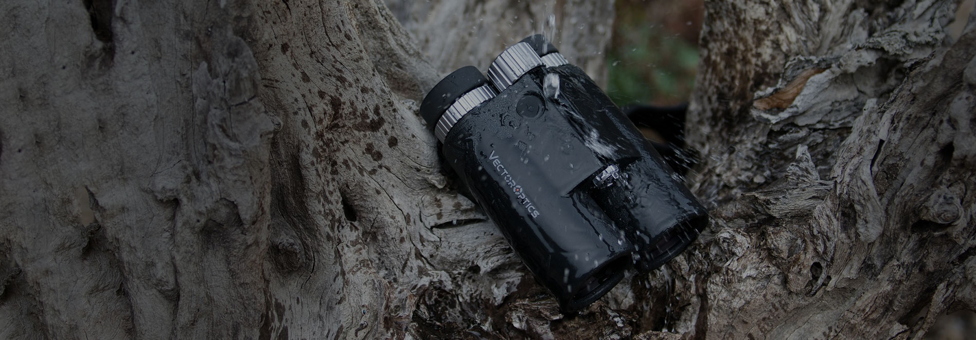 10x42 Binoculars with LRF