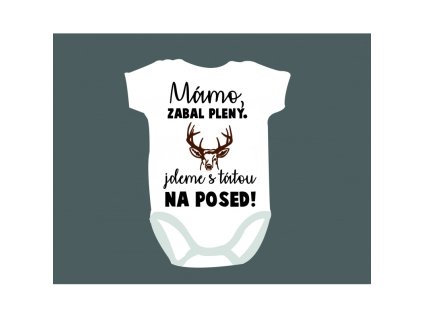Obrázek