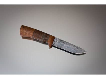 Obrázek (8427)
