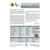 penzum2