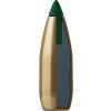 300 Win.Mag SB PTS 11,7g(3)