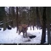bunatty full hd 4g foto zima
